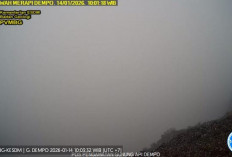 Waspada! Aktivitas Vulkanik Gunung Dempo Terdeteksi, Masyarakat Diminta Tetap Siaga