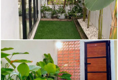 Lahan Sempit Bukan Halangan! Trik Ubah Sisa Tanah 1 Meter Jadi Taman Tropis Ala Bali yang Sejuk