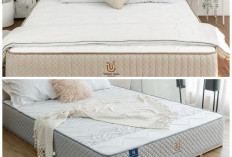 Kasur Busa Paling Tahan Lama! 12 Merk Unggulan 2026 dengan Daya Pakai hingga 10 Tahun