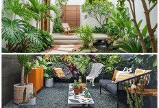 Transformasi Halaman Belakang Rumah: Tips Mudah Ciptakan Ruang Outdoor Nyaman dan Menenangkan!