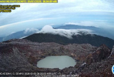 Gunung Dempo Waspada: Aktivitas Vulkanik Level II, Masyarakat Diminta Jaga Jarak Kawah