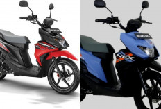 Kupas Tuntas Suzuki NEX Crossover: Kelebihan dan Kekurangannya Sebelum Membeli!