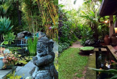 Sulap Halaman Jadi Seperti Vila! Ini Inspirasi Taman Bali yang Menenangkan