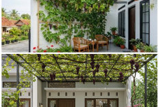 Bikin Rumah Lebih Hidup! Ide Teras Cantik dengan Tanaman Buah Merambat di Dinding
