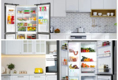 5 Kulkas Paling Awet dan Tangguh, Pilihan Andalan Banyak Keluarga Indonesia