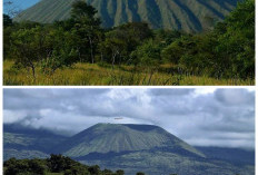 Gunung Tambora: Jejak Letusan Terdahsyat yang Mengubah Sejarah Dunia!