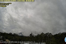 Waspada! Gunung Dempo Terekam Gempa Low Frekuensi dan Tremor Menerus, Radius 1 Km Steril dari Aktivitas