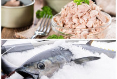 Jarang Disadari, Ini 6 Khasiat Ikan Tuna yang Baik untuk Tumbuh Kembang Bayi