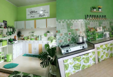 Ide Desain Dapur Hijau Aesthetic, Segar Dipandang dan Nyaman Digunakan!