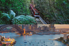 Eksplor Sydney dan New South Wales 8 Hari: Perpaduan Wisata Kota, Alam, dan Petualangan