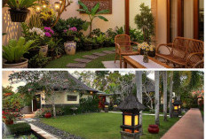7 Desain Taman Belakang Rumah Minimalis ala Villa Bali yang Sulap Lahan Sempit Jadi Surga Tropis