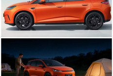 Tembus Jarak Super Jauh! Ini Spesifikasi BYD Dolphin DM-i yang Resmi Meluncur di Eropa