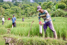 Pasang Patok, Cara Sederhana Cegah Sengketa Tanah dengan Tetangga!