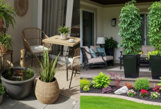 Ide Teras Rumah Tanpa Pagar Agar Tetap Nyaman Meski di Pinggir Jalan!