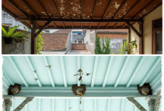5 Warna Plafon Teras yang Dipercaya Bisa Mengurangi Sarang Tawon, Rumah Lebih Nyaman dan Aman