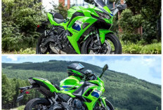 Kawasaki Ninja 650 Makin Sporty, Suspensi Depan USD SFF-BP Jadi Sorotan!