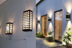 Inspirasi Pencahayaan Taman Rumah, Bikin Halaman Tampak Mewah di Malam Hari!