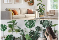 5 Tanaman Indoor Bernuansa Netral yang Cocok untuk Interior Minimalis Modern