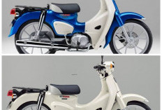 Motor Legendaris Kembali! Honda Super Cub 110 Terbaru 2026 Kini Lebih Ramah Lingkungan!