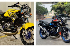 Harganya Bikin Geleng-Geleng Kepala, Ini Alasan Kawasaki Ninja SS Bekas Masih Diburu Kolektor!
