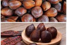 Jarang Diketahui, Inilah 10 Manfaat Buah Salak yang Baik untuk Kesehatan dan Kebugaran Tubuh