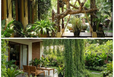 Teras Kecil, Suasana Maksimal: Inspirasi Rumah Lahan Terbatas yang Sejuk dan Asri