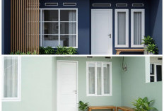 9 Kombinasi Warna Cat Teras Tren 2026: Trik Cerdas Bikin Fasad Rumah Minimalis Tampil Mewah dan Berkarakter