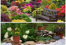 Taman Bunga Penuh Warna, Ide Desain Cantik yang Bikin Rumah Makin Menawan Setiap Pagi