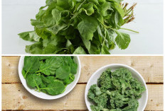 Kale vs Bayam: Sayuran Hijau Kaya Nutrisi untuk Menjaga Kesehatan Tulang