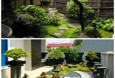 Zen Garden Minimalis: 10 Model Taman Jepang yang Menenangkan Tanpa Repot