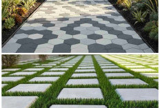 7 Jenis Paving Block Cocok untuk Halaman Rumah Sempit, Awet dan Enak Dipandang