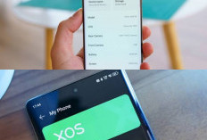 Terungkap! Ini Penyebab Utama Sistem XOS Infinix Lemot Sekaligus Cara Mengatasinya