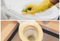 Cara Praktis Membersihkan Kloset: Ampuh Hilangkan Kerak Kuning Membandel