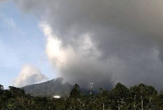 Pemkot Tolak Perpanjangan dan Perluasan HGU PTPN I, Aset Daerah Harus Dikembalikan dan Lahan Diukur Ulang!