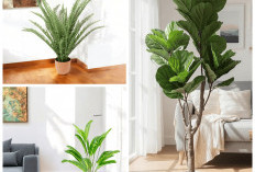 Sudut Ruang Tamu Jadi Lebih Hidup! 6 Rekomendasi Bunga Minimalis yang Estetik dan Segar!