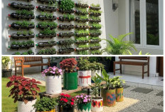 7 Transformasi Barang Bekas Jadi Kebun Cantik: Ide Kreatif Hemat Budget, Ramah Lingkungan, dan Bikin Betah!