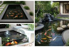 Mini tapi Mewah: 5 Konsep Kolam Ikan untuk Halaman Rumah Elegan