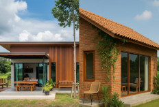 Model Desain Rumah Pinggir Sawah yang Unik dan Nyaman Ditempati!