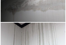 Anti Ribet! 5 Cara Ampuh Atasi Dinding Rembes Tanpa Perlu Bongkar Total