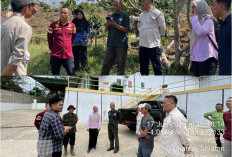 Dirjen Kekayaan Intelektual Tinjau Kebun Pengembangan Kopi Raden Kuning Pagar Alam
