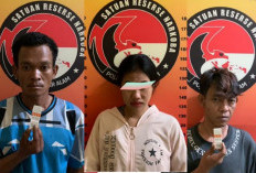 Gulung 3 Sindikat Narkoba, Satres Narkoba Amankan Sepaket Sabu 25,6 Gram dan Ganja
