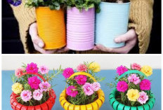 Sulap Botol Bekas Jadi Pot Bunga Unik, Ide Kreatif untuk Hunian Lebih Asri