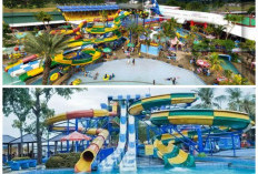 Serunya Wisata Air di Saygon Waterpark, Destinasi Favorit Liburan Keluarga yang Wajib Dicoba!