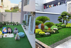 Taman Rumput Sintetis Terbaru, Solusi Praktis untuk Halaman Indah Sepanjang Tahun!