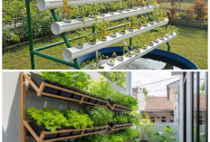 Teras Sempit Jadi Kebun Produktif! 9 Inspirasi Vertikultur Tanpa Tanah yang Praktis dan Estetik