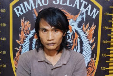 10 Bulan Buron, Pencuri Motor Ini Diringkus Rimau Selatan Dikontrakan