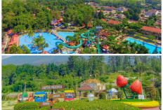 Deretan Tempat Wisata Menarik di Purbalingga, Siap Jadi Destinasi Favorit Saat Liburan!