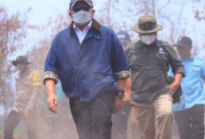 Gubernu Turun Langsung, Pantau Karhutla di Habitat Gajah Padang Sugihan