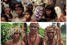 Tradisi Hari Moyang Suku Temuan: Warisan Leluhur yang Sarat Makna di Semenanjung Malaysia