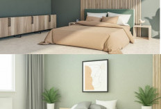 Cara Cerdas Pilih Warna Cat Kamar Maskulin yang Estetik, Nyaman, dan Tidak Membosankan